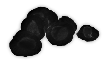 Williams AV EAR 045-100 BK